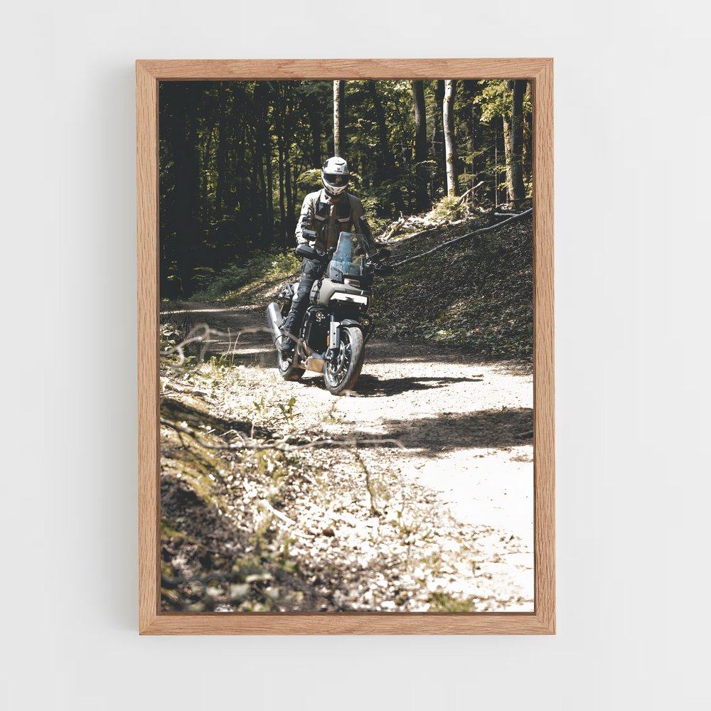 Poster envoûtant de Pan America – affiche Harley-Davidson (vue 4)